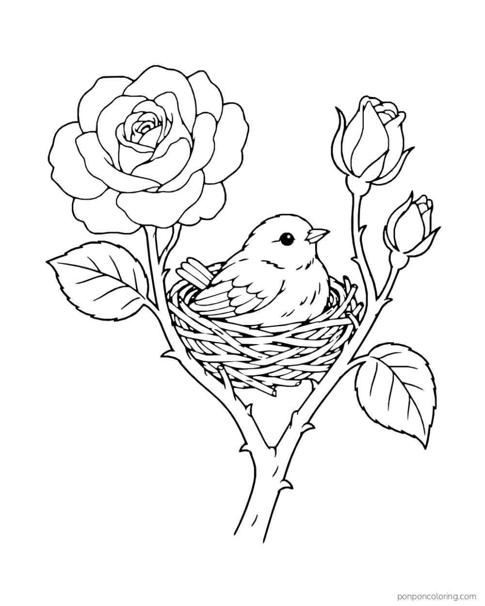 Small bird sitting in a woven nest beside an open rose and two buds.