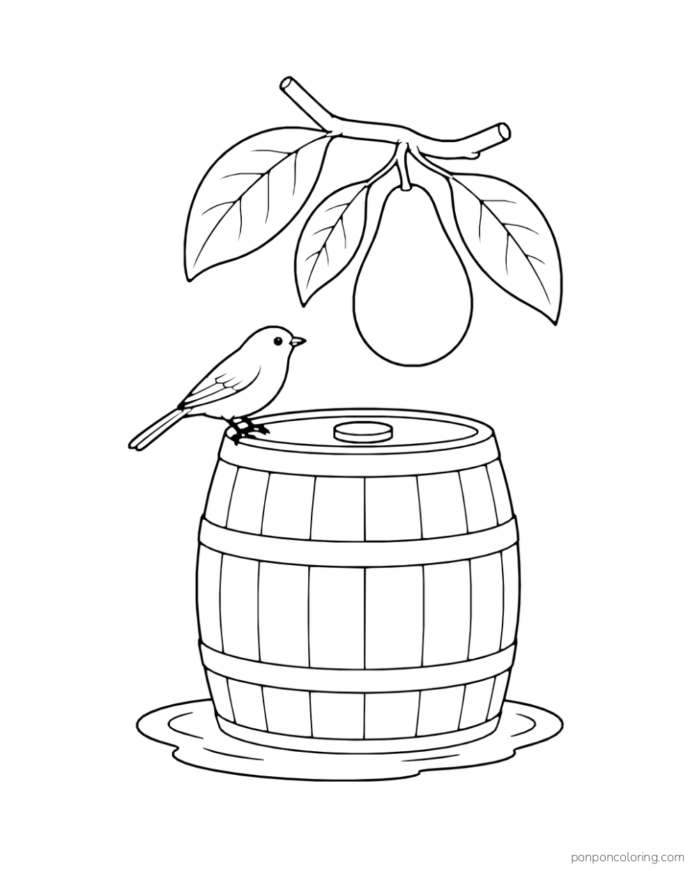 A bird perches on a rainwater barrel beneath a short branch with one hanging avocado and broad leaves.