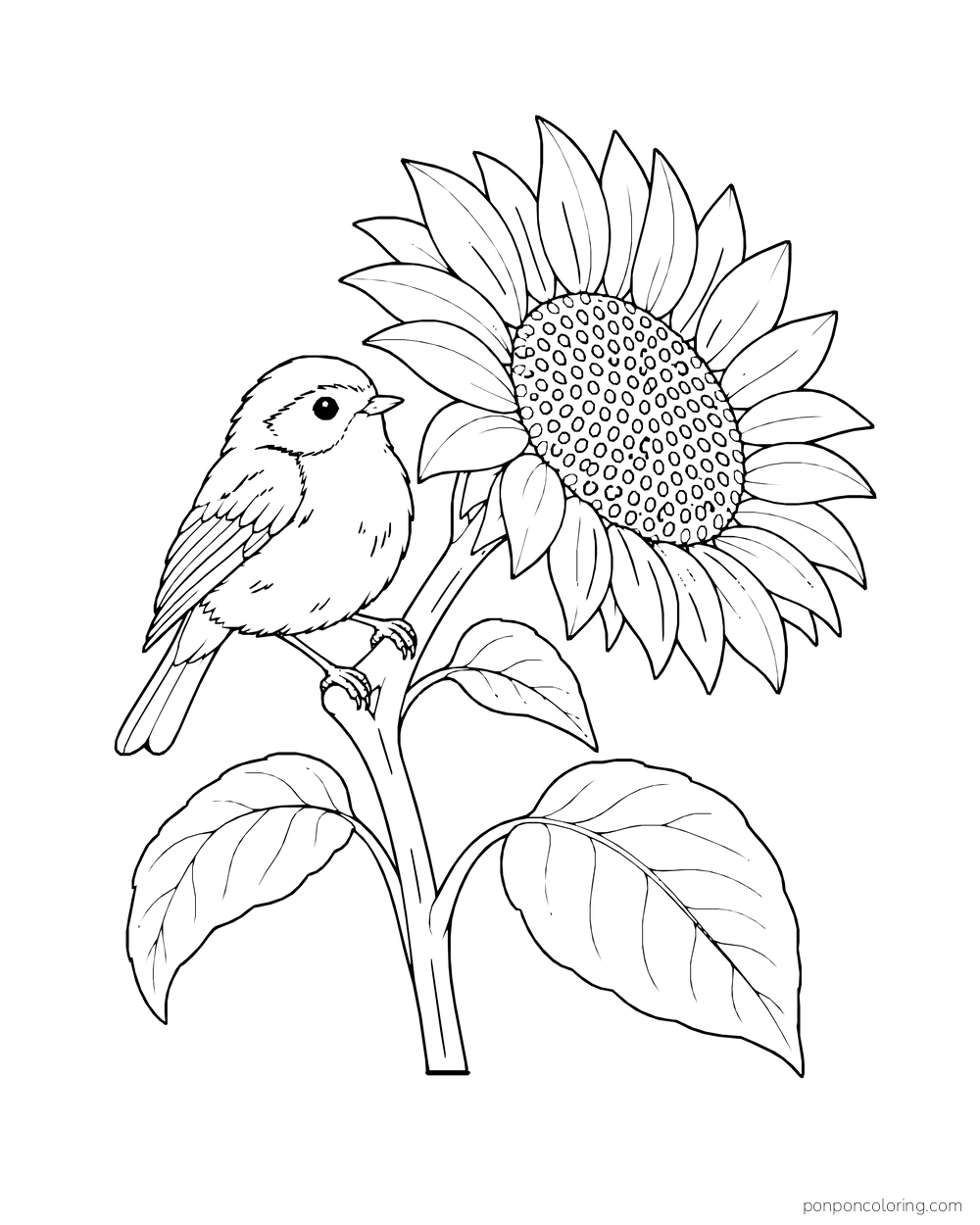 A little bird perched on a sunflower stem beside a large flower head.