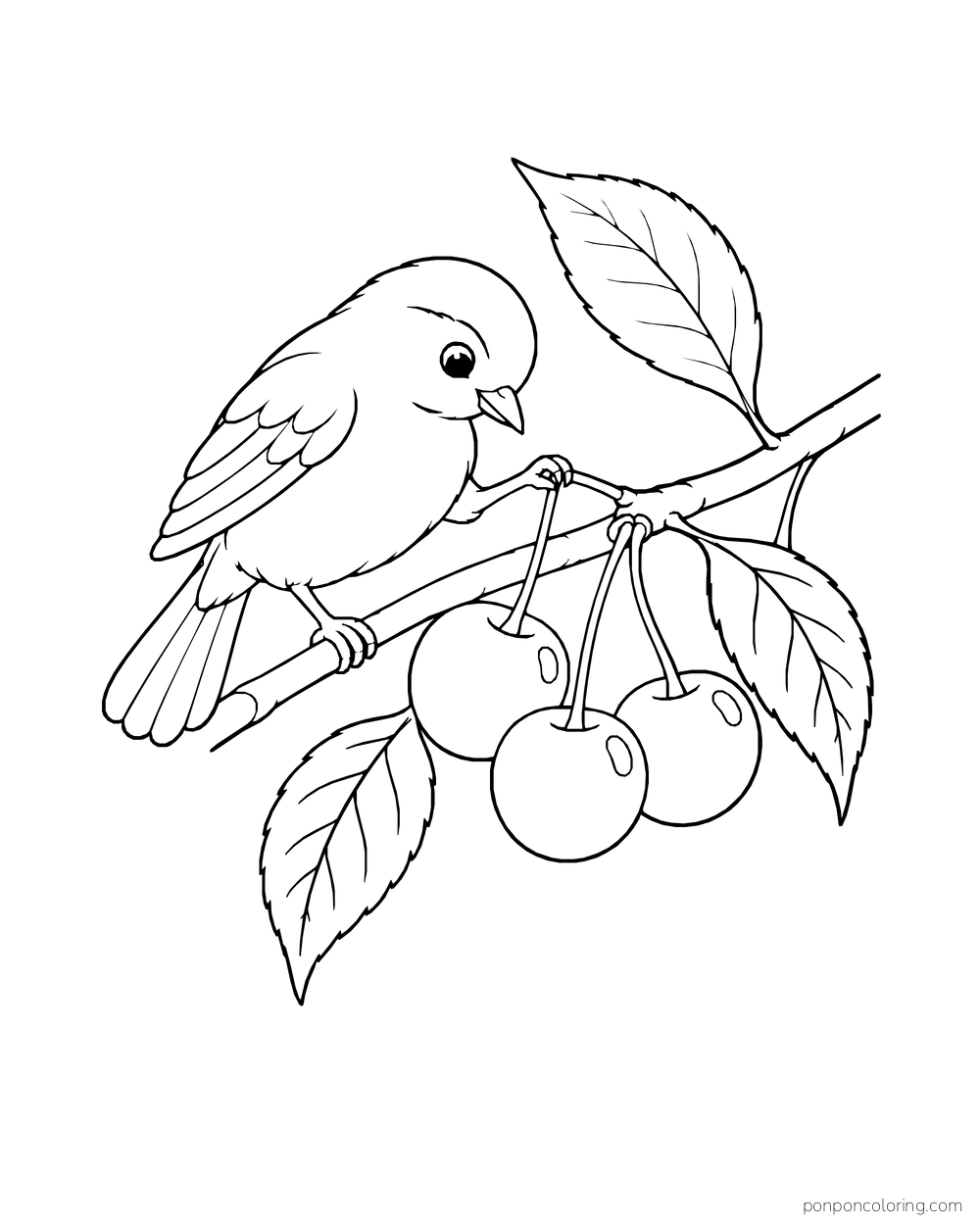 A small bird perches on a branch beside three hanging cherries and pointed leaves.