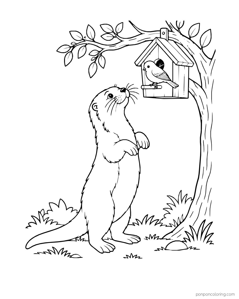 Otter standing below a birdhouse with a small bird at the opening.