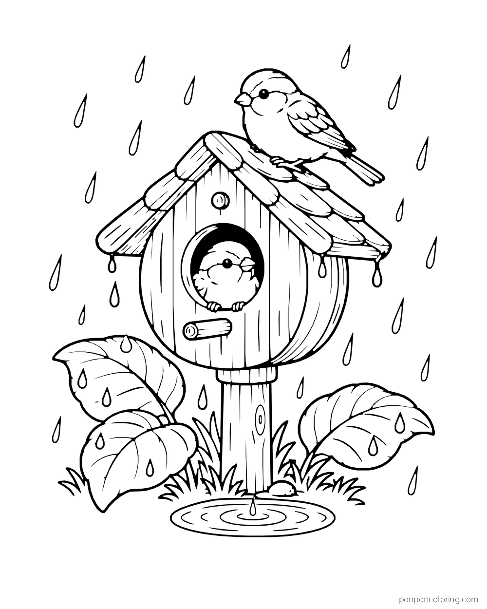 Two small birds shelter at a birdhouse above a puddle as rain falls.