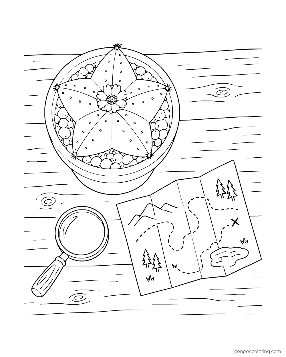 A star-shaped cactus in a round pot is seen from above beside a folded map and magnifying glass.