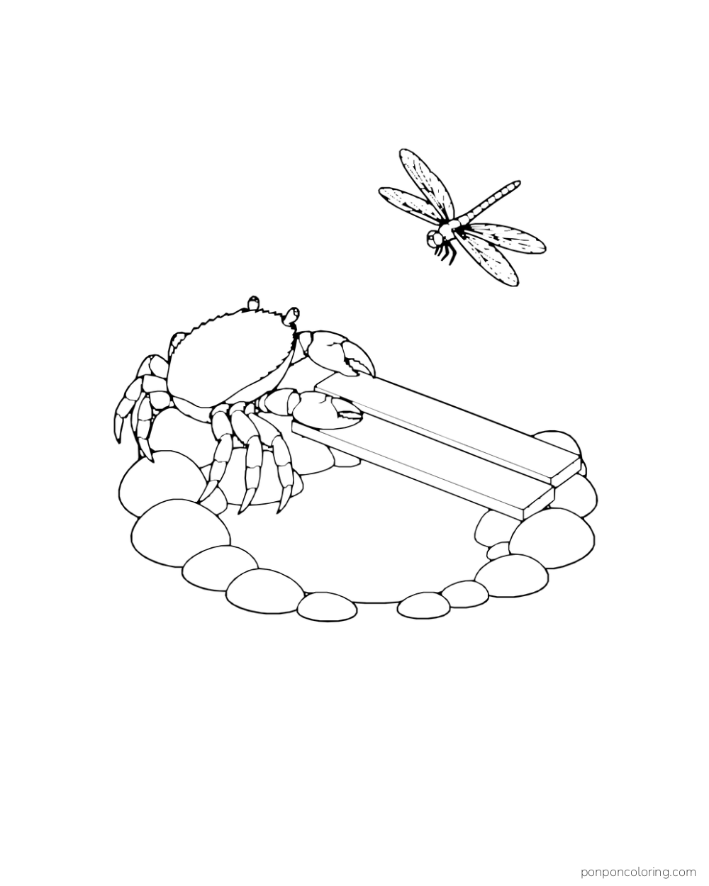 A crab stands beside a short plank bridge over a round pool as a dragonfly passes above.
