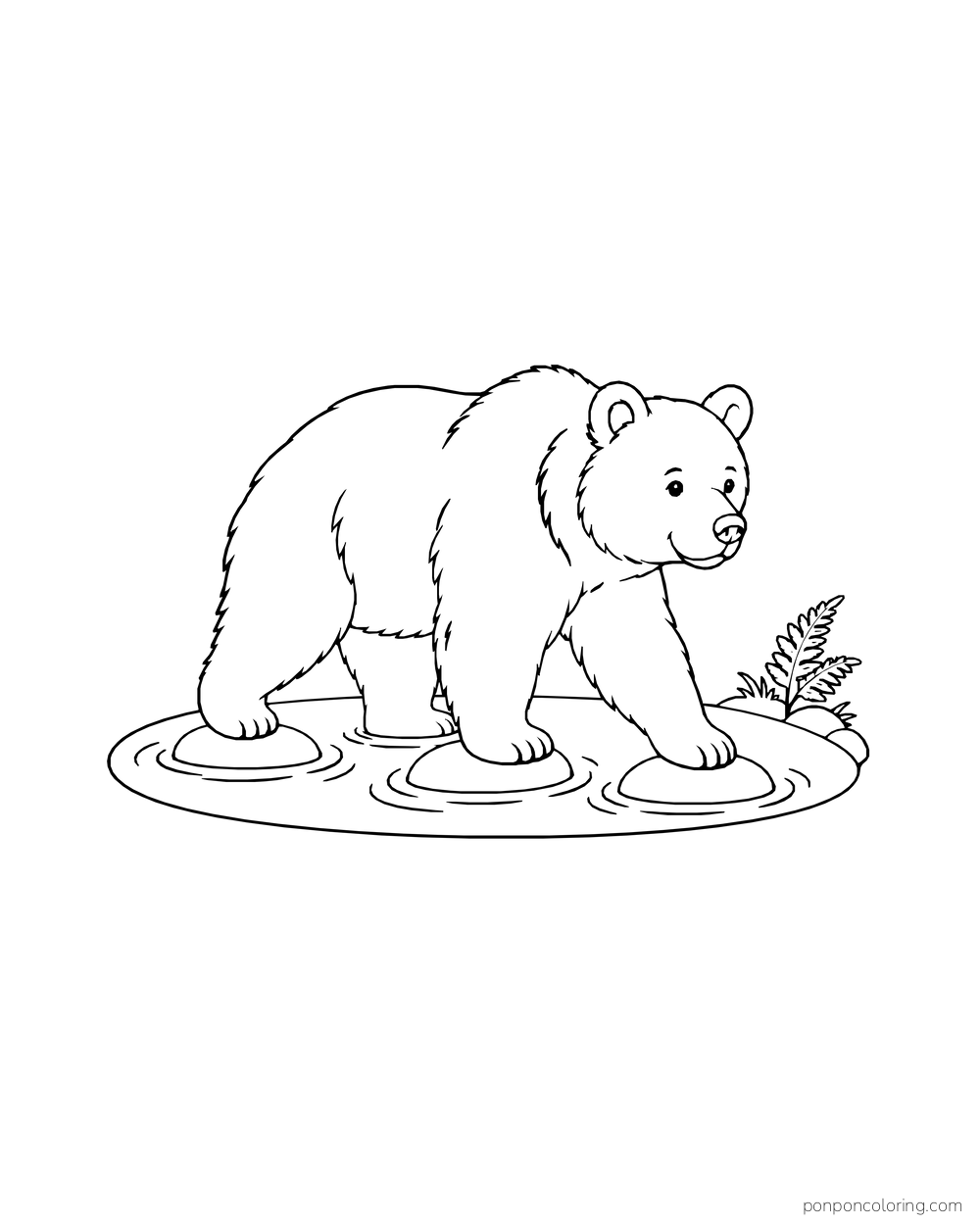 A broad-shouldered brown bear stepping across three stones in a shallow oval stream beside a fern.
