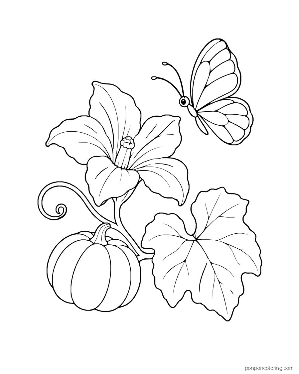 A butterfly hovering above a pumpkin flower beside a small pumpkin, curling vine and large leaf.