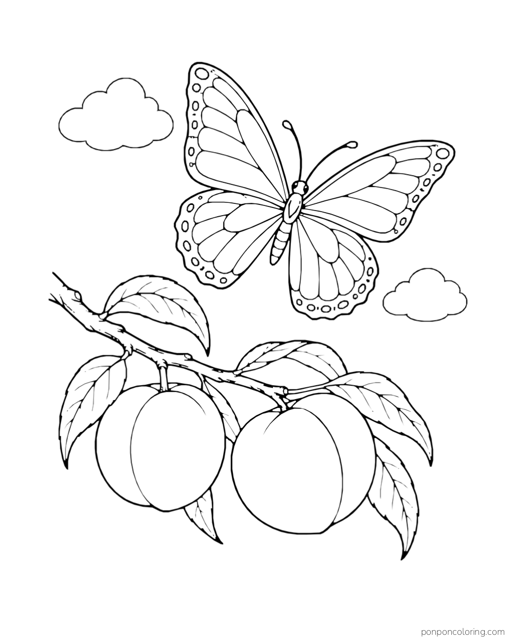 Wide-winged butterfly flying over two peaches on a short branch.
