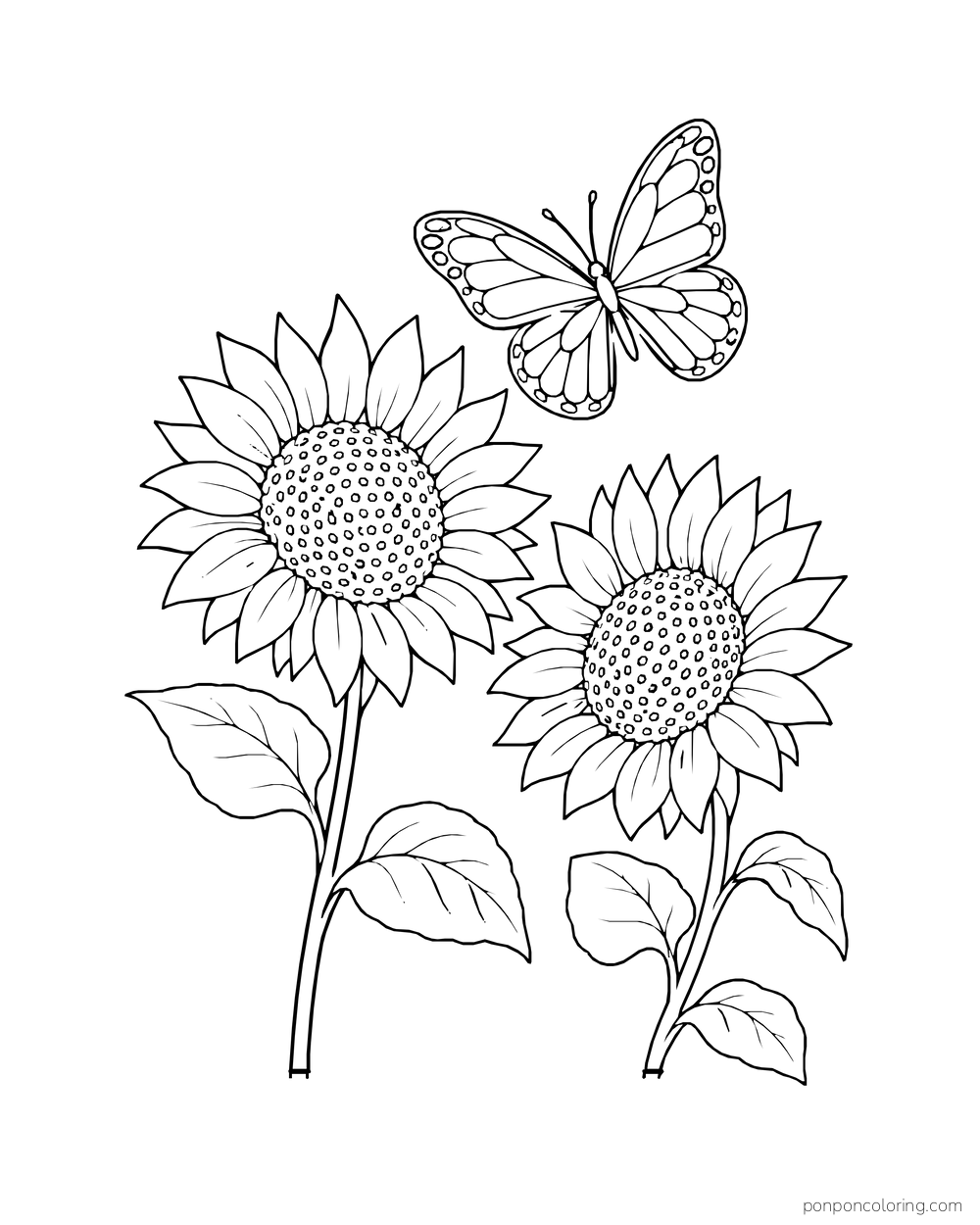 A butterfly flying above two sunflower heads on separate stems.