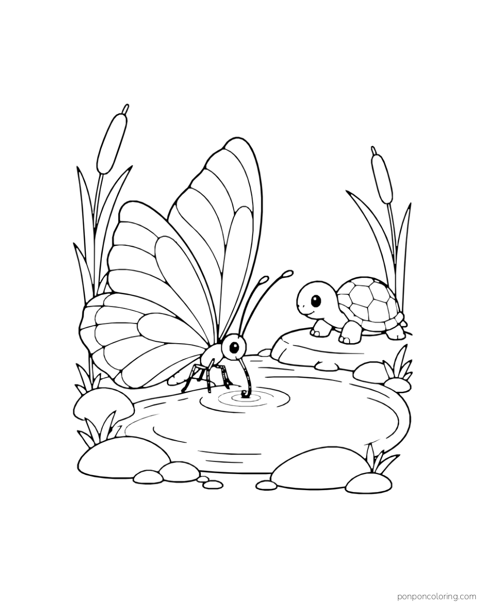 A butterfly drinks at a small pond while a turtle rests on a stone across the water.