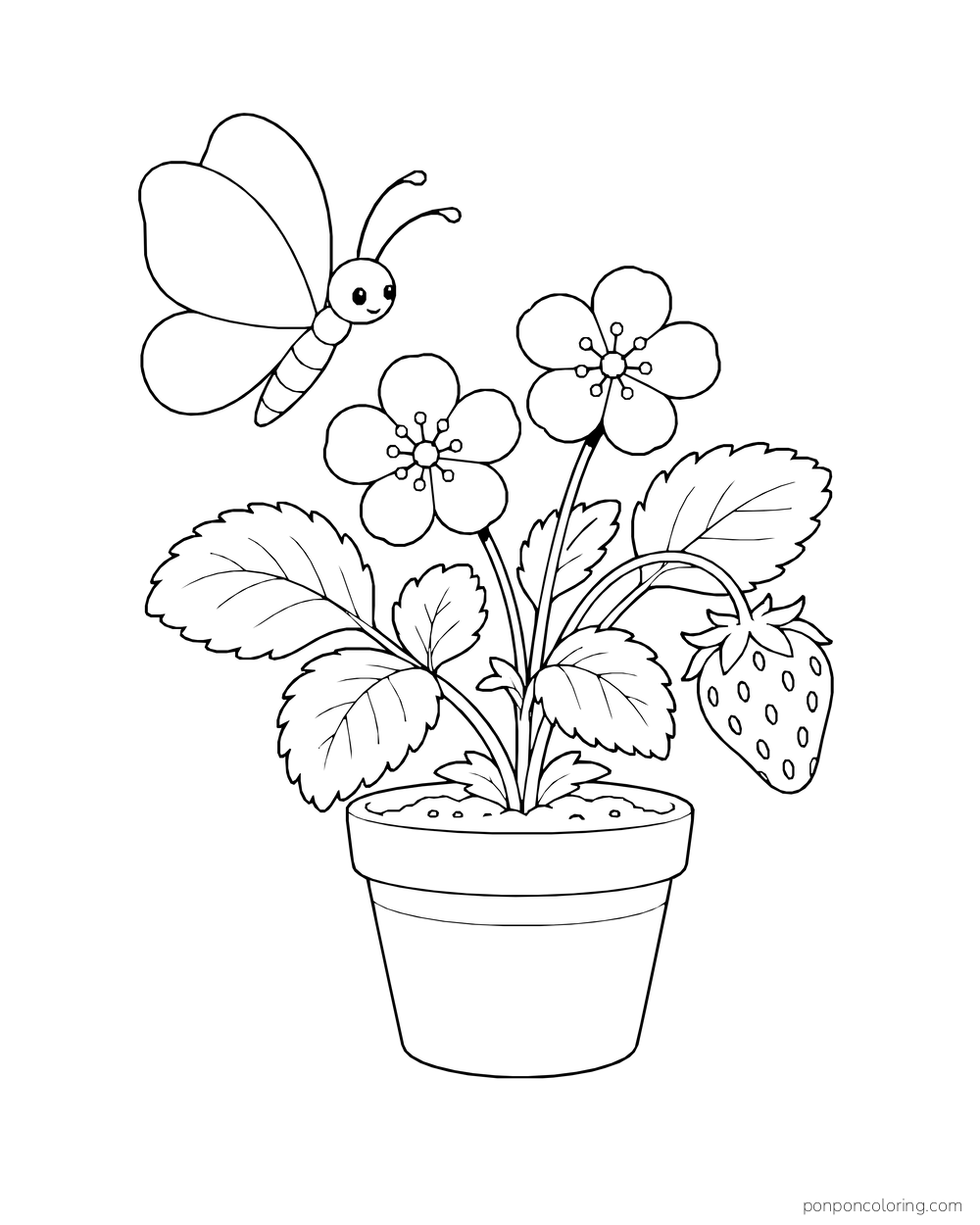 A butterfly hovers above blossoms and one strawberry on a plant in a plain pot.