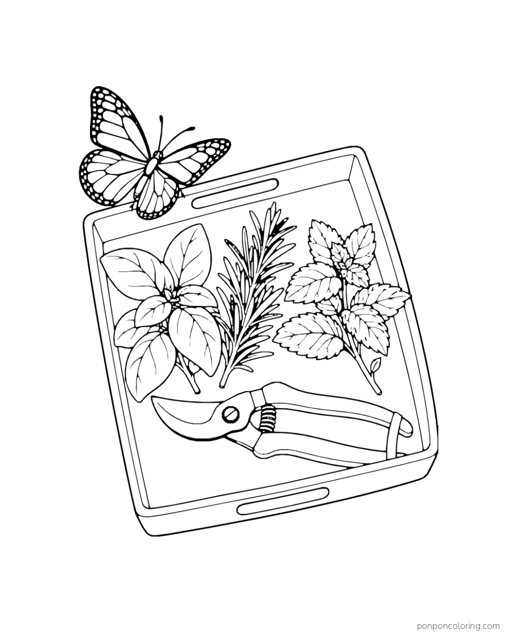 A butterfly rests at the edge of a tray holding herb sprigs and closed garden shears.