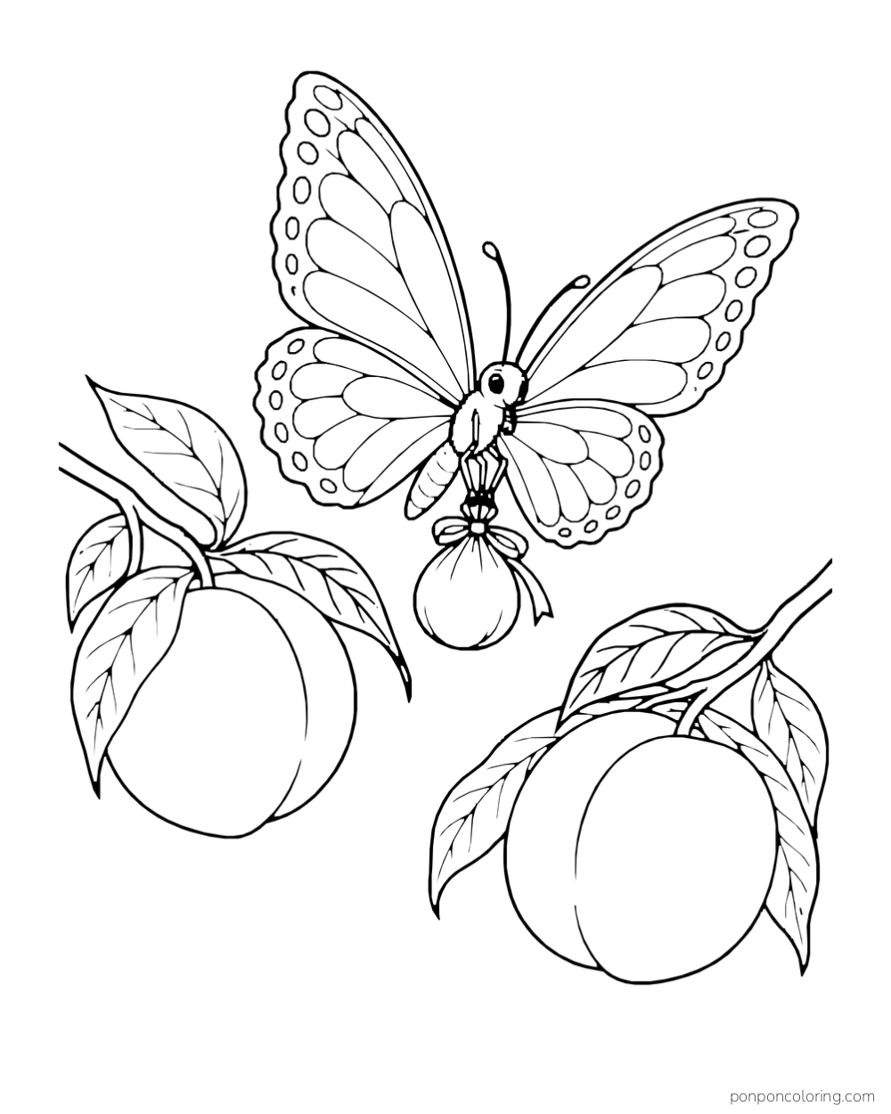 Butterfly carrying a tied pouch between two peaches on separate branches.