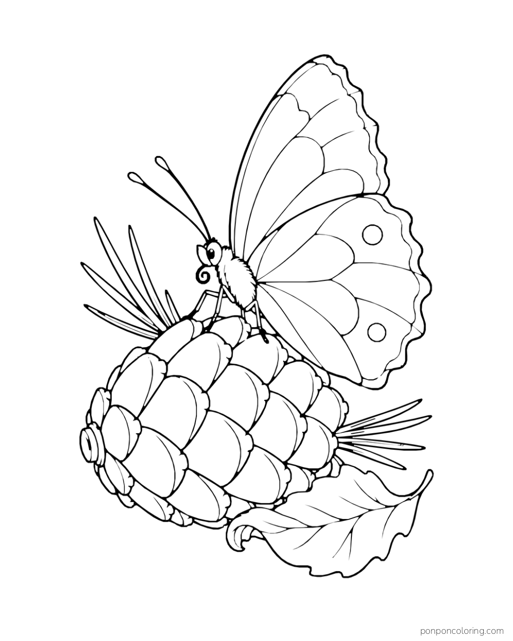 A butterfly rests on a pinecone beside needles and a curled autumn leaf.