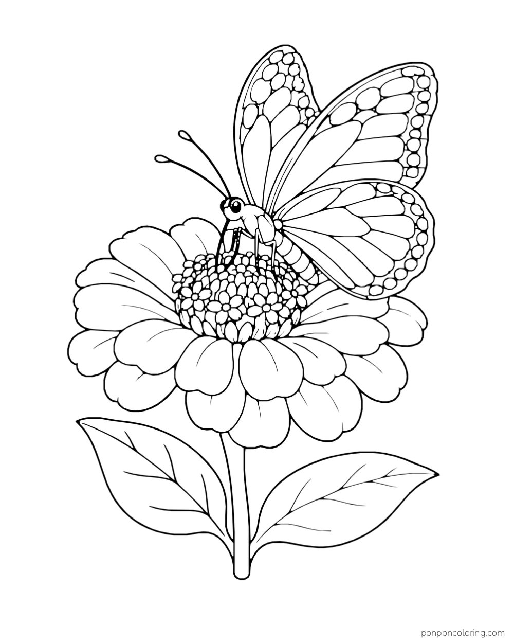 A butterfly rests on a large zinnia blossom above two broad leaves.