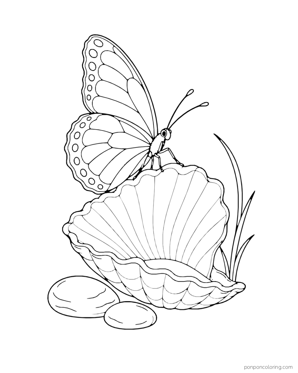 A butterfly rests on an open seashell beside two smooth pebbles and beach grass.