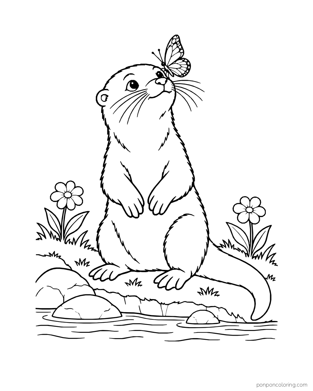 Butterfly resting on the nose of an upright otter among two flowers.