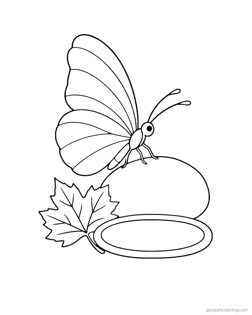 A round-winged butterfly rests on a smooth stone near a fallen maple leaf and oval pool.