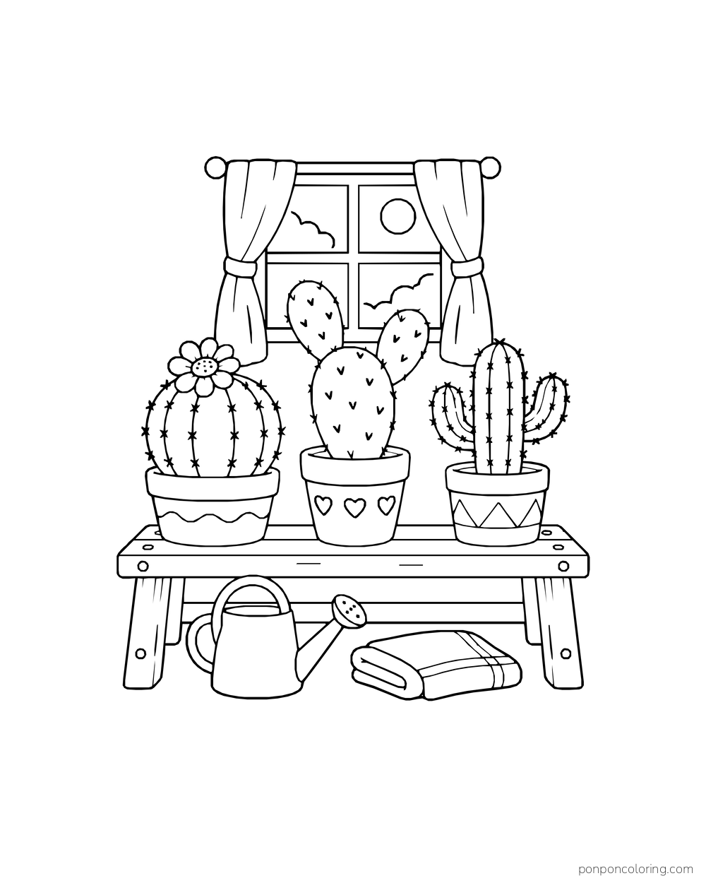 Three potted cacti on a wooden bench below a curtained window, with a watering can and folded cloth underneath.