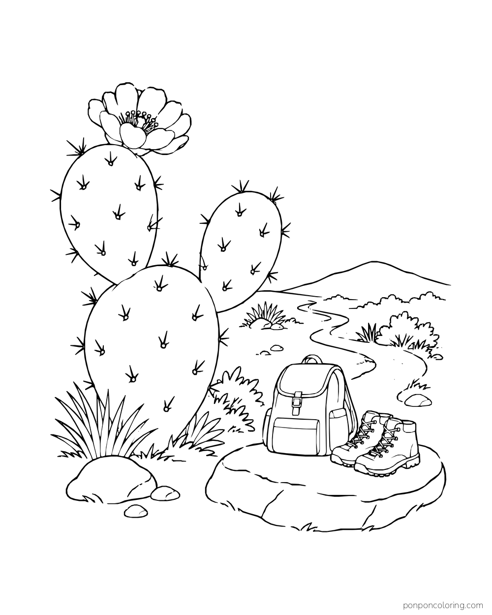 A flowering prickly pear stands beside a trail backpack and boots on a rock.