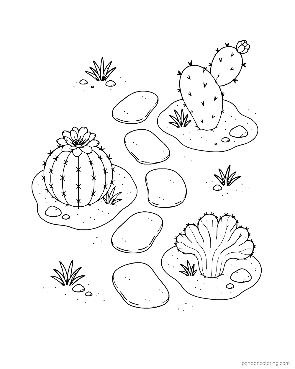 A barrel cactus, prickly pear, and crested cactus sit around stepping stones in a garden seen from above.