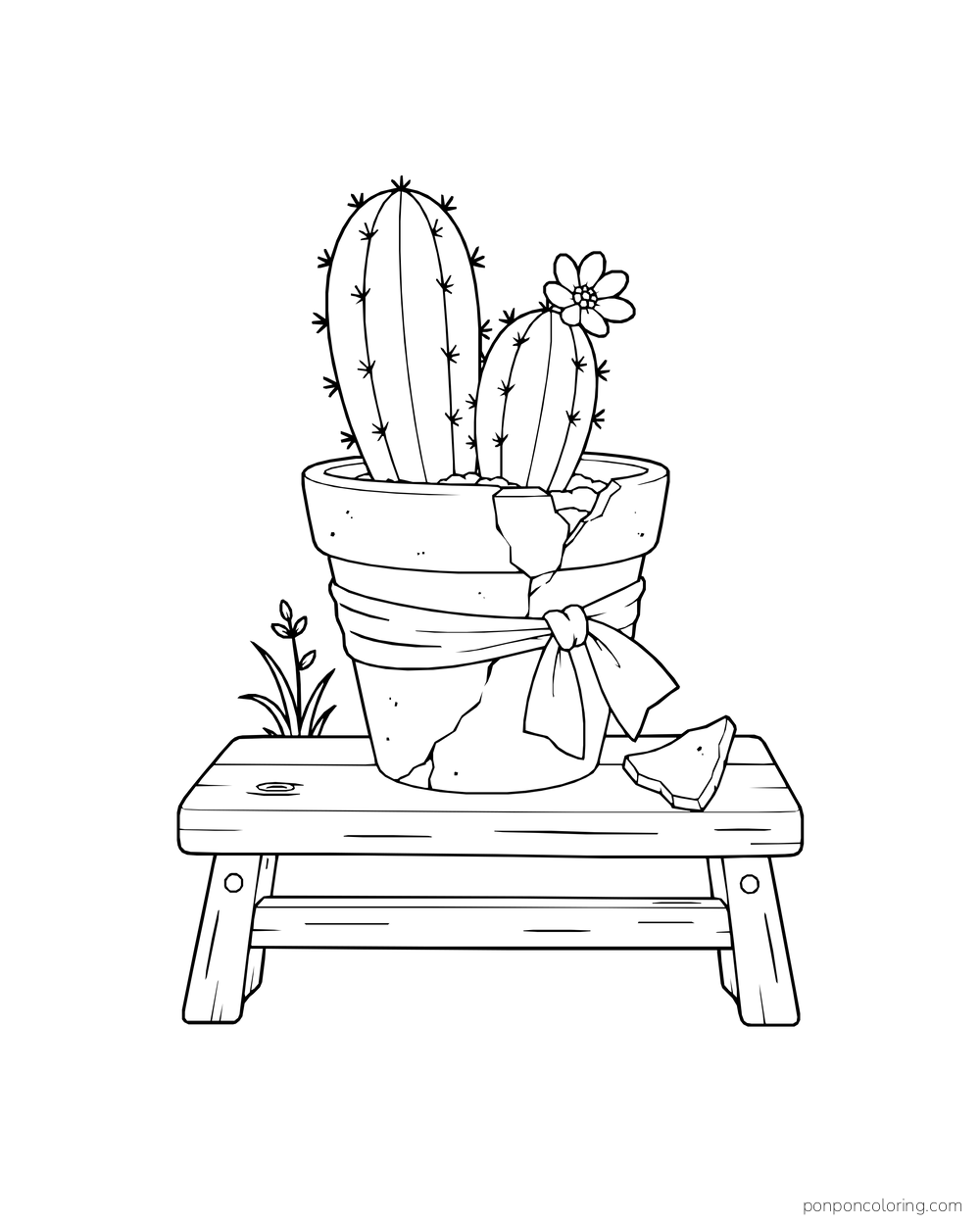 A flowering cactus grows in a cracked pot tied with a ribbon on a small wooden bench.