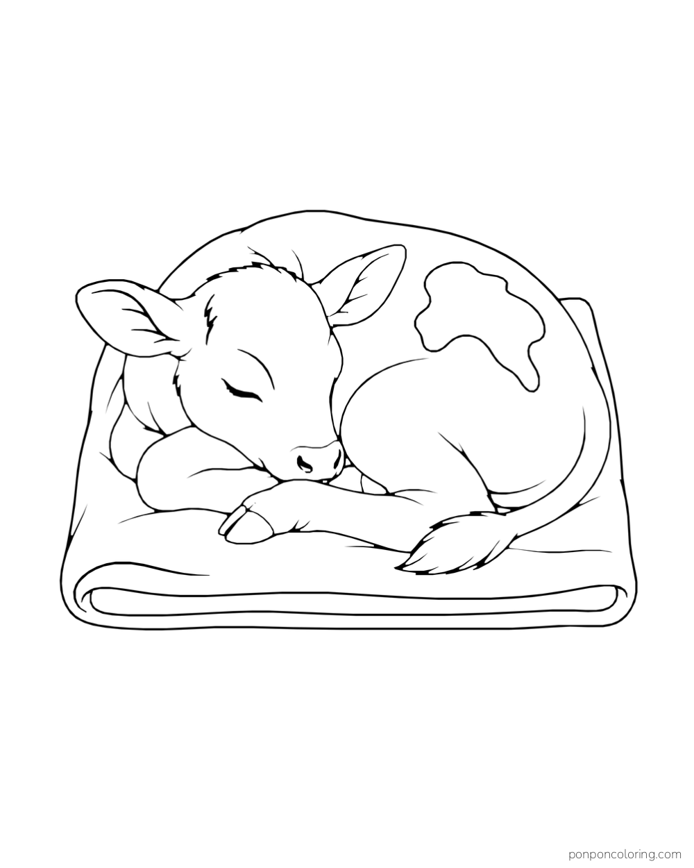 A curled calf sleeps on a folded blanket.