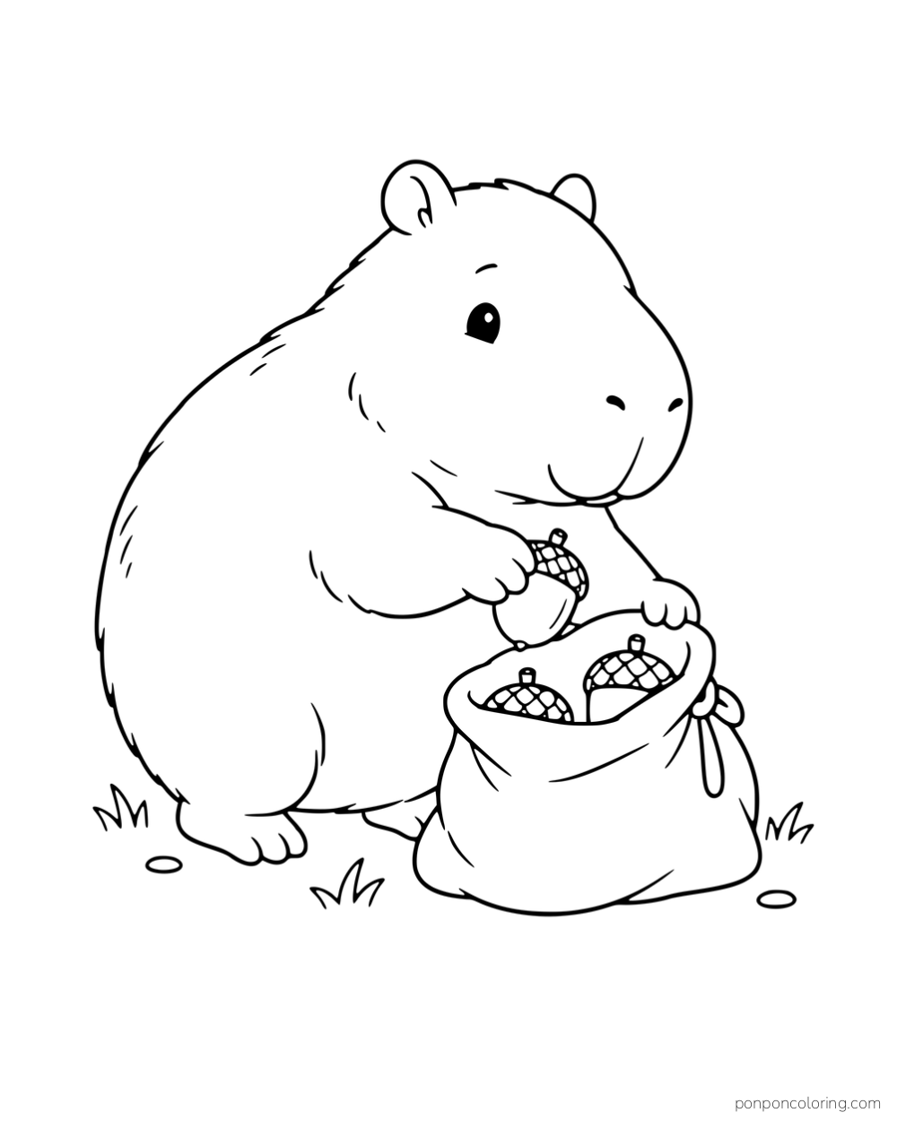 A capybara collecting acorns in a sack.
