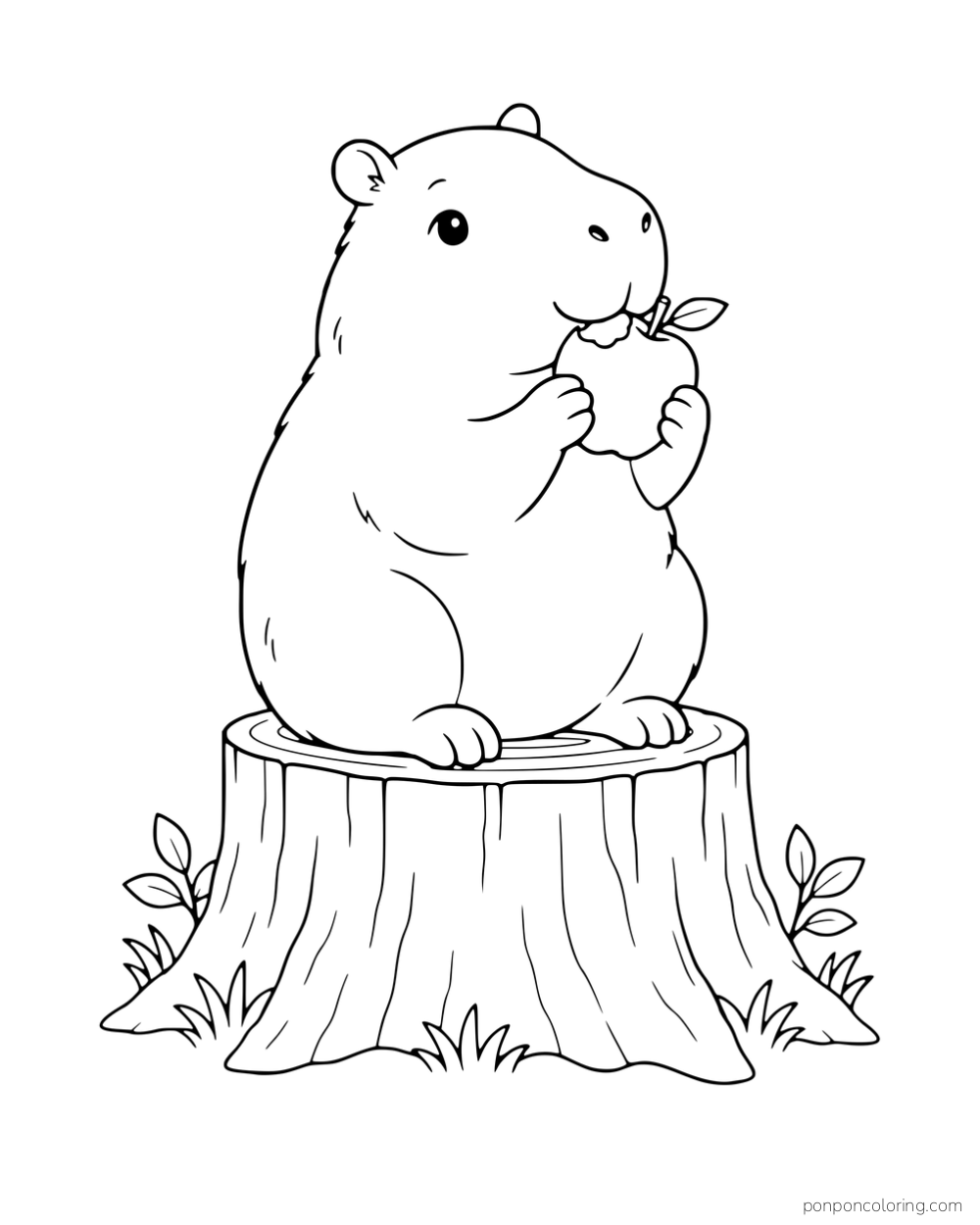 A capybara sitting on a tree stump and holding an apple.
