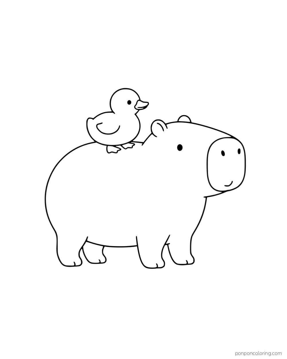 A standing capybara carrying a duckling on its back.