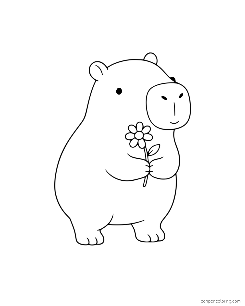 A standing capybara holding a daisy.