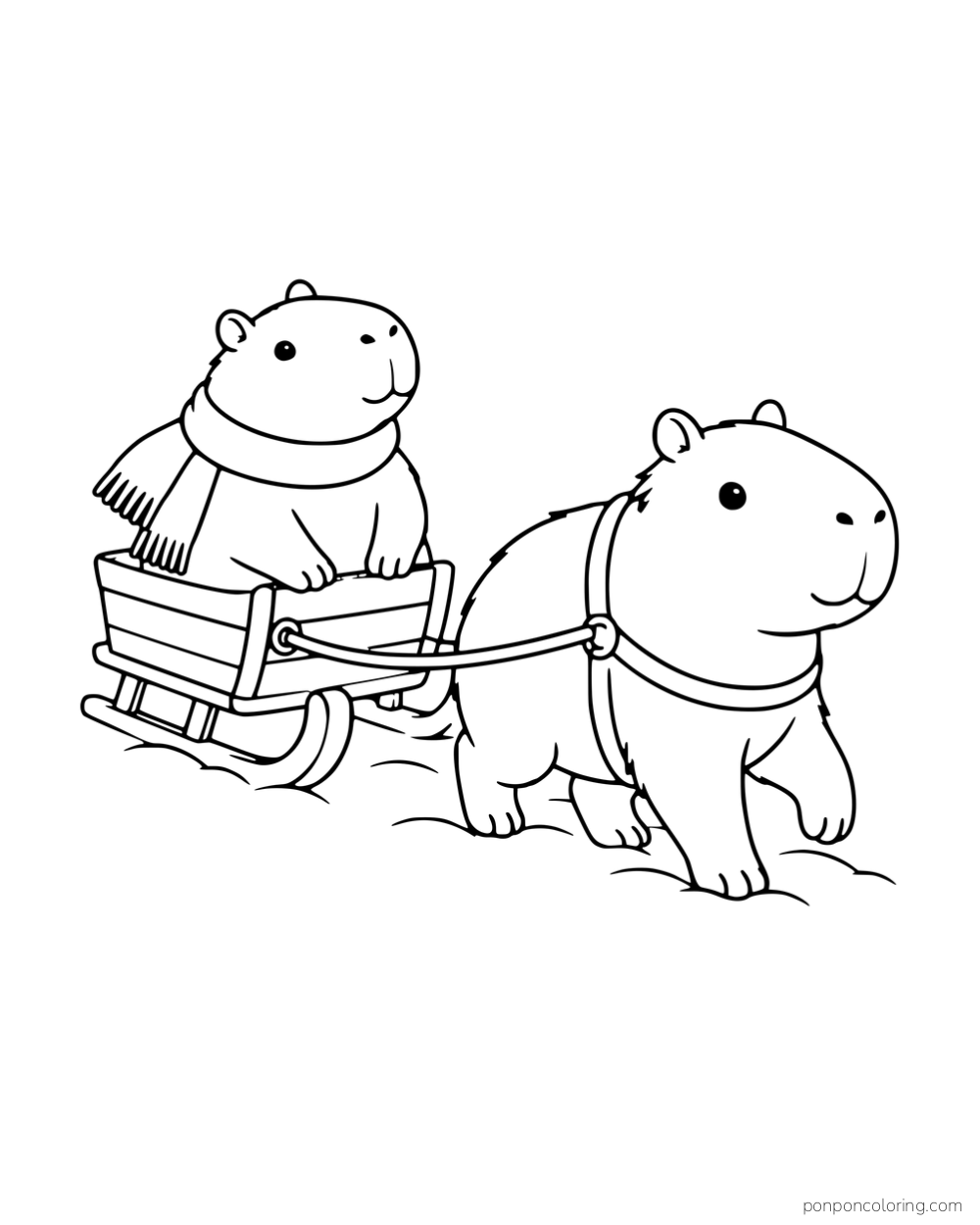 A capybara pulling a sled with another capybara riding in it.