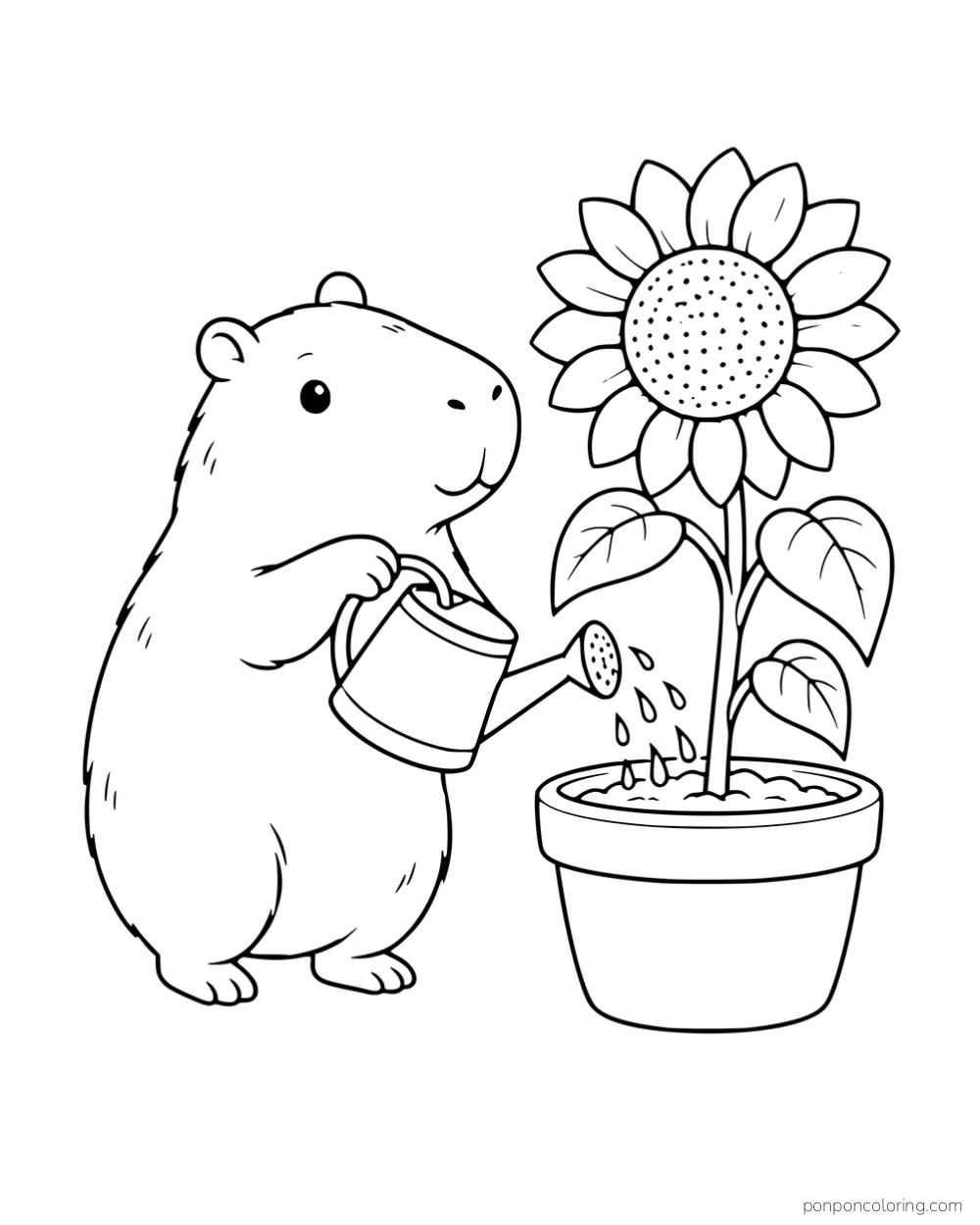 A capybara watering a sunflower in a pot.