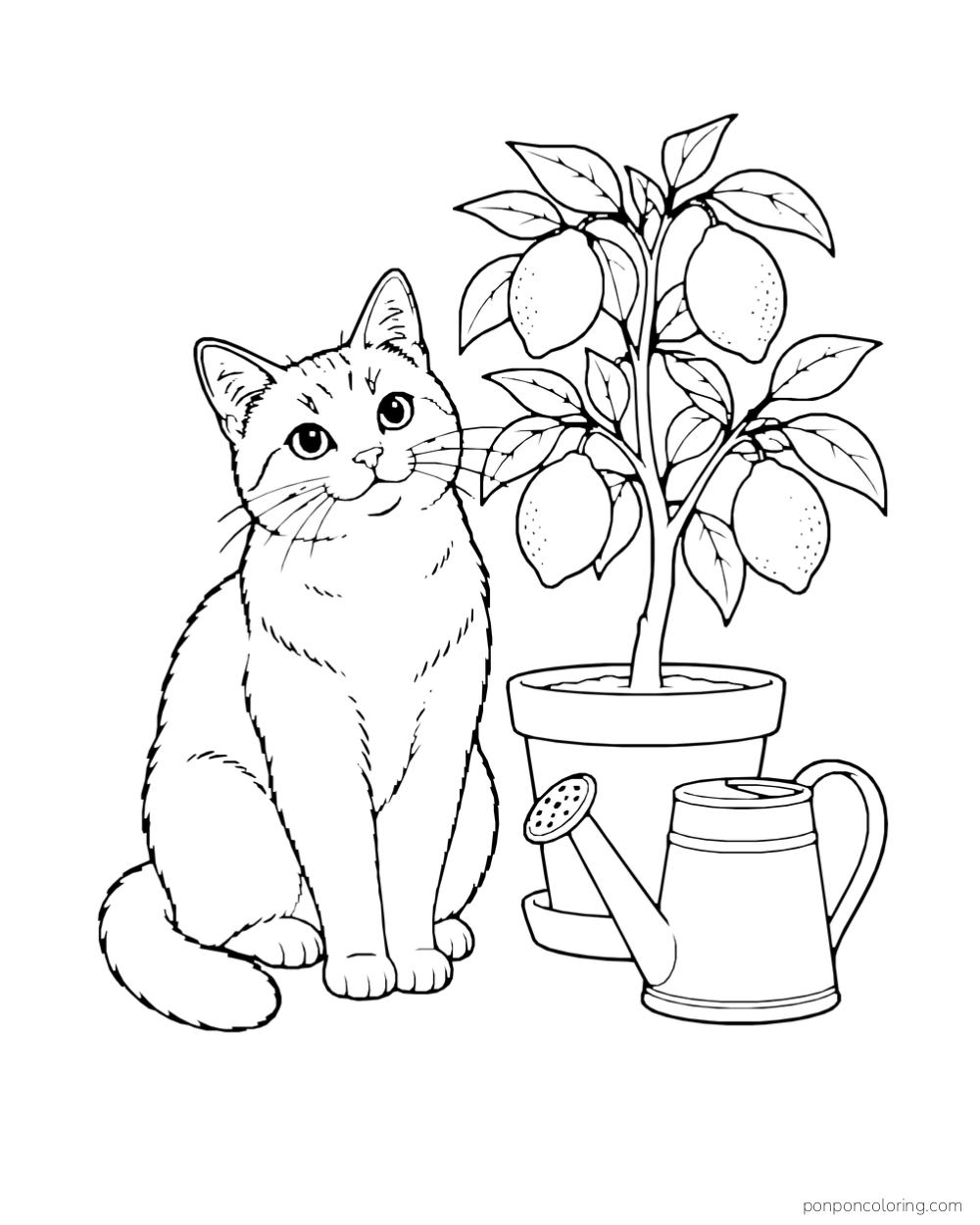 A cat sits beside a potted lemon tree and a watering can.