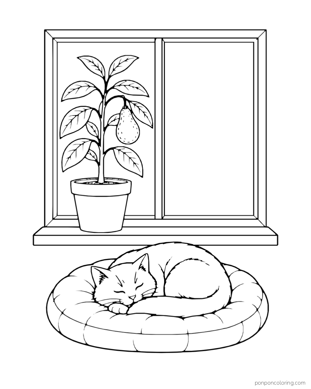 Sleeping cat beside a potted avocado sapling on a window ledge.