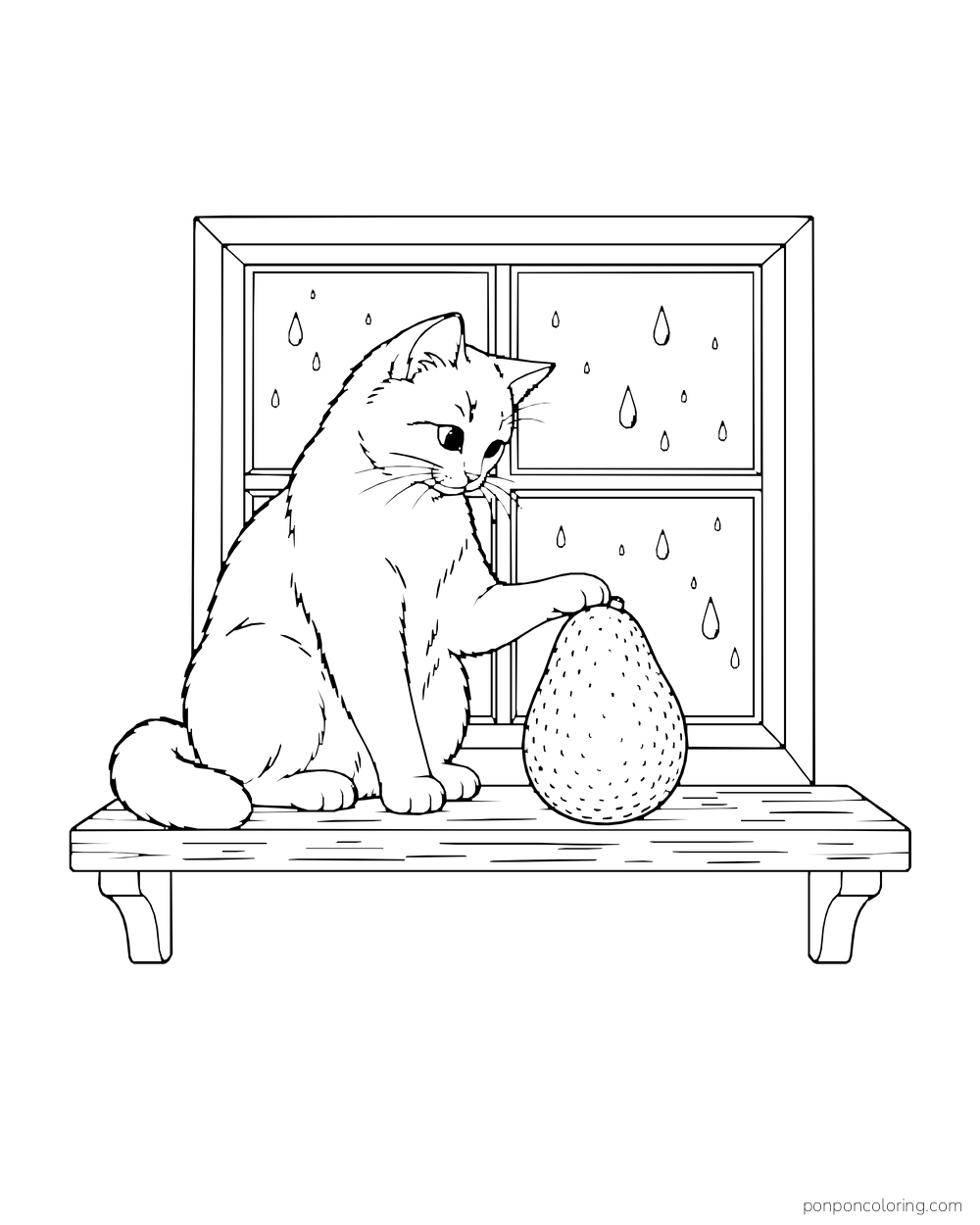An adult cat touches a whole avocado on a low windowsill in front of a rainy window.