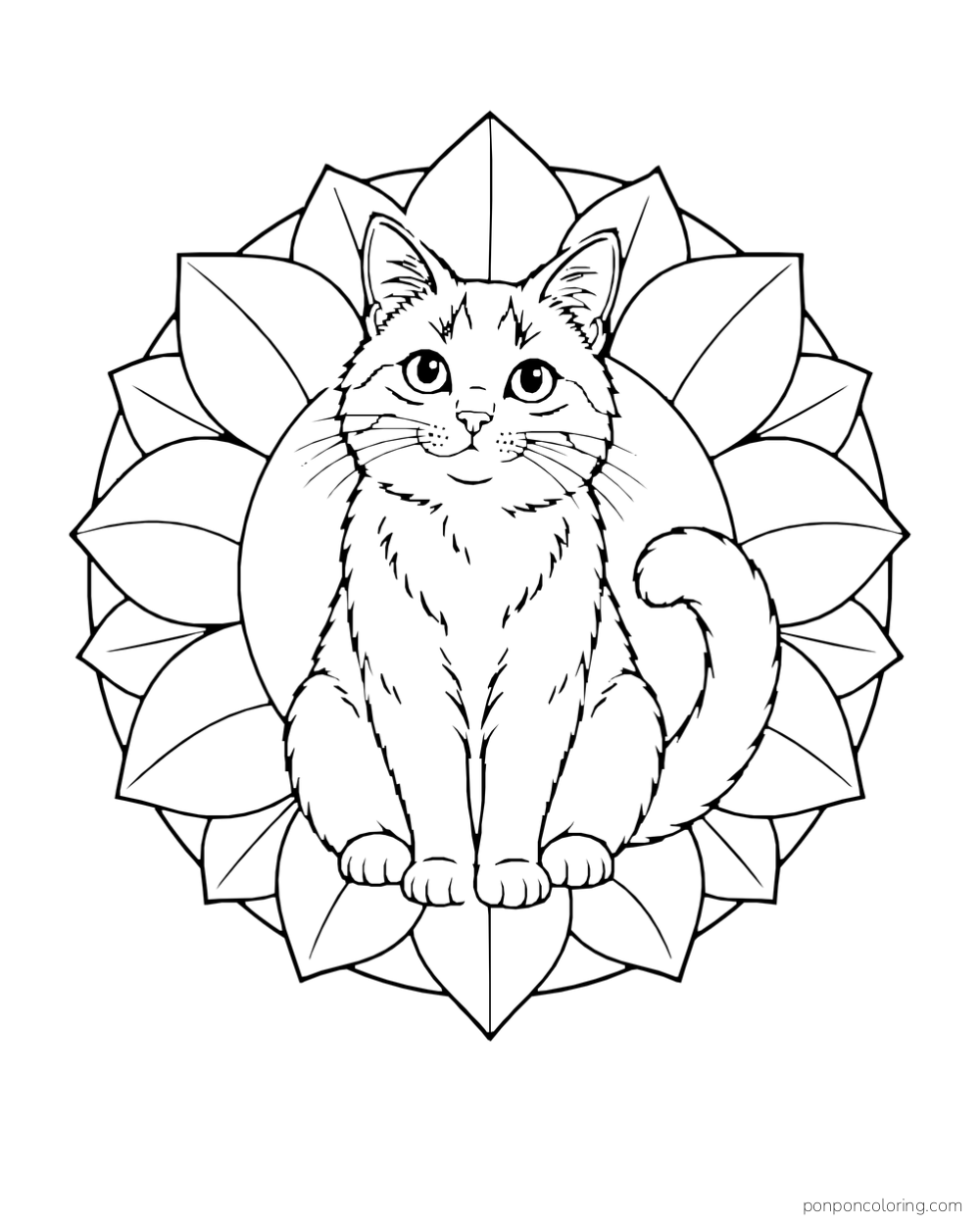 A sitting cat appears inside a circular frame of large geometric petals.