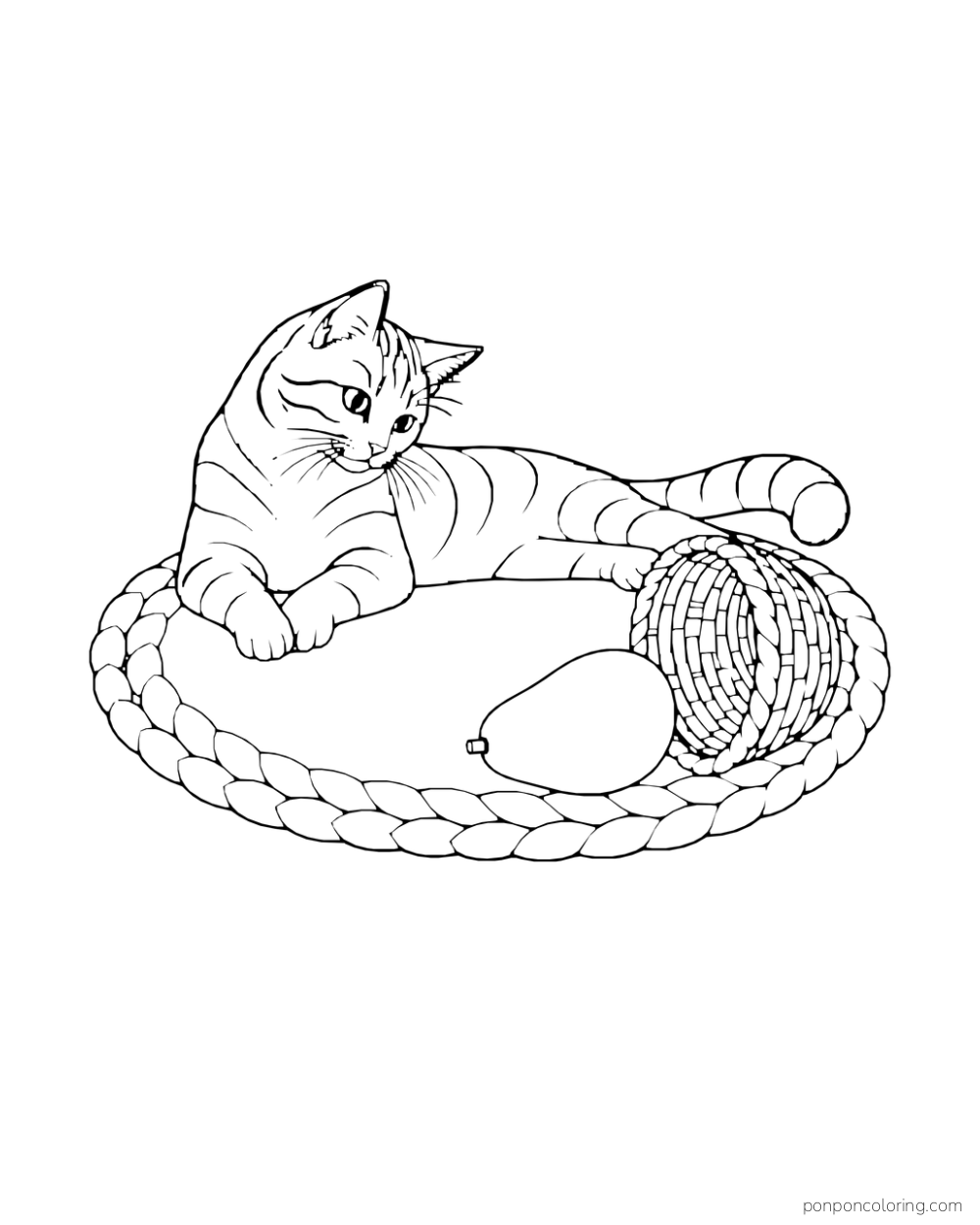 A reclining adult cat watches a whole avocado roll from a tipped wicker basket across a braided rug.