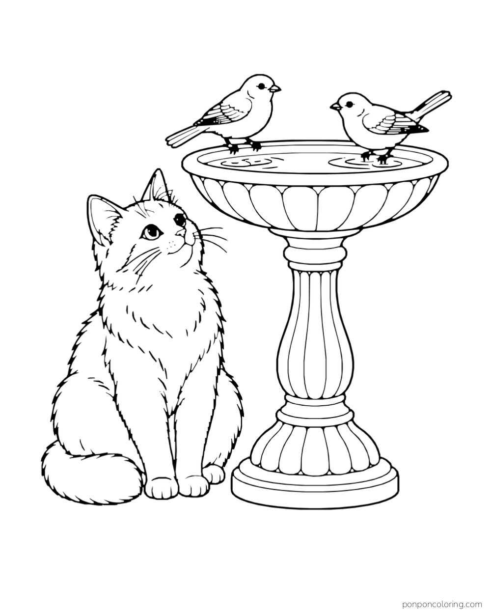 A fluffy cat watches two birds perched on the rim of a birdbath.