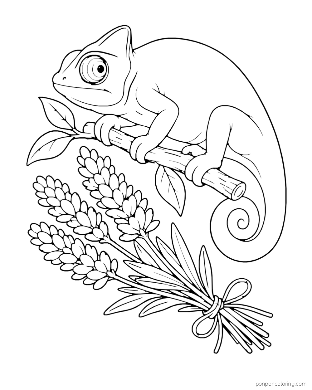 A chameleon rests on a short branch above a tied bundle of lavender.