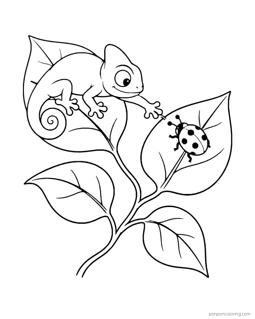 A chameleon reaches toward a ladybug resting on another leaf of a short vine.