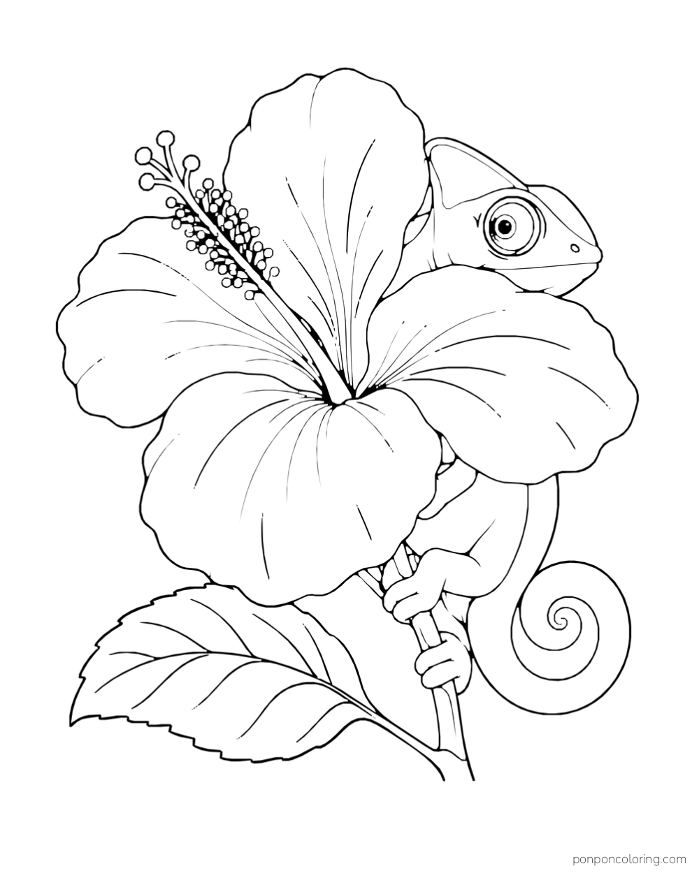 A chameleon peeks from behind a large hibiscus bloom while gripping its stem.