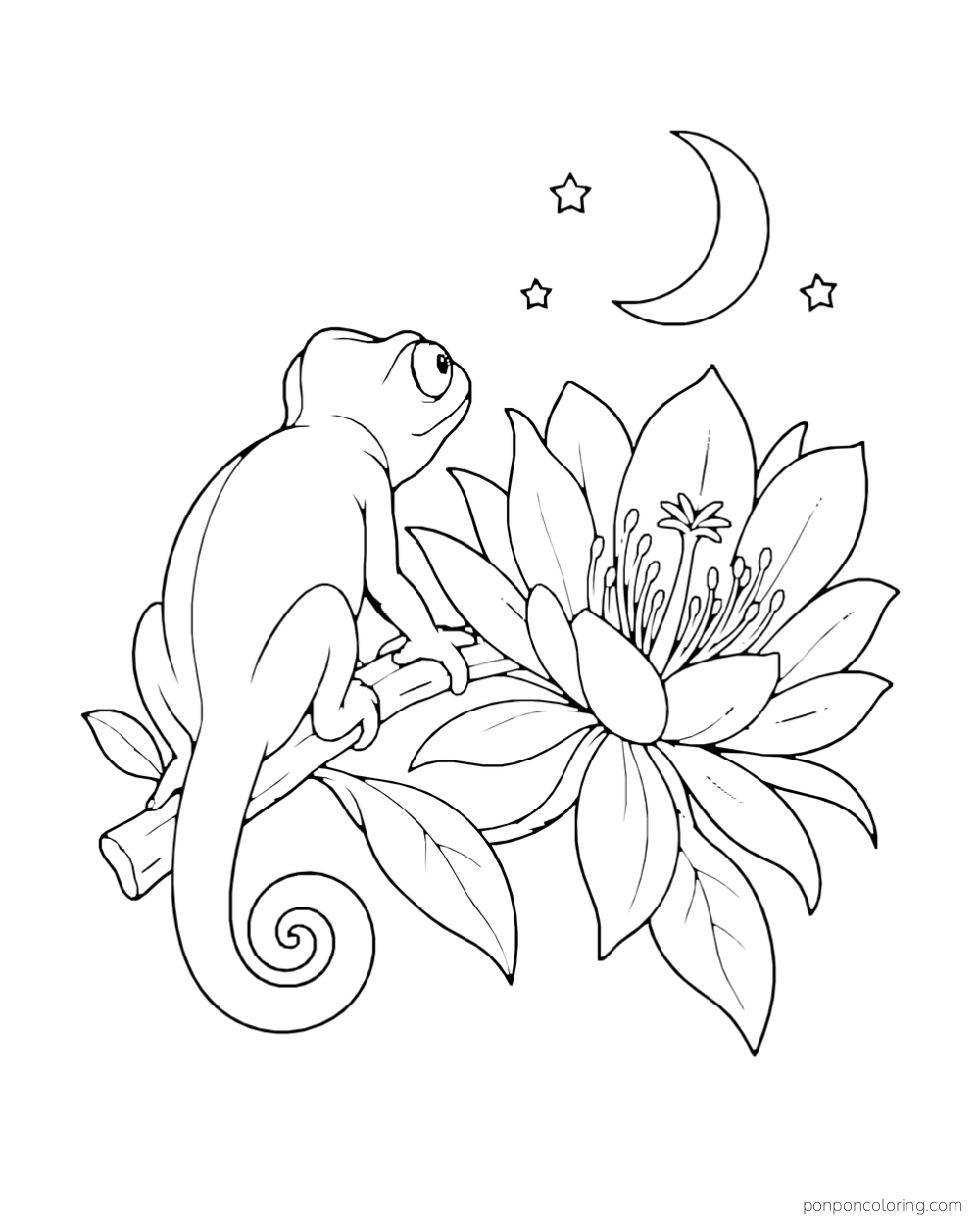 A chameleon rests beside an open flower beneath a crescent moon and three stars.