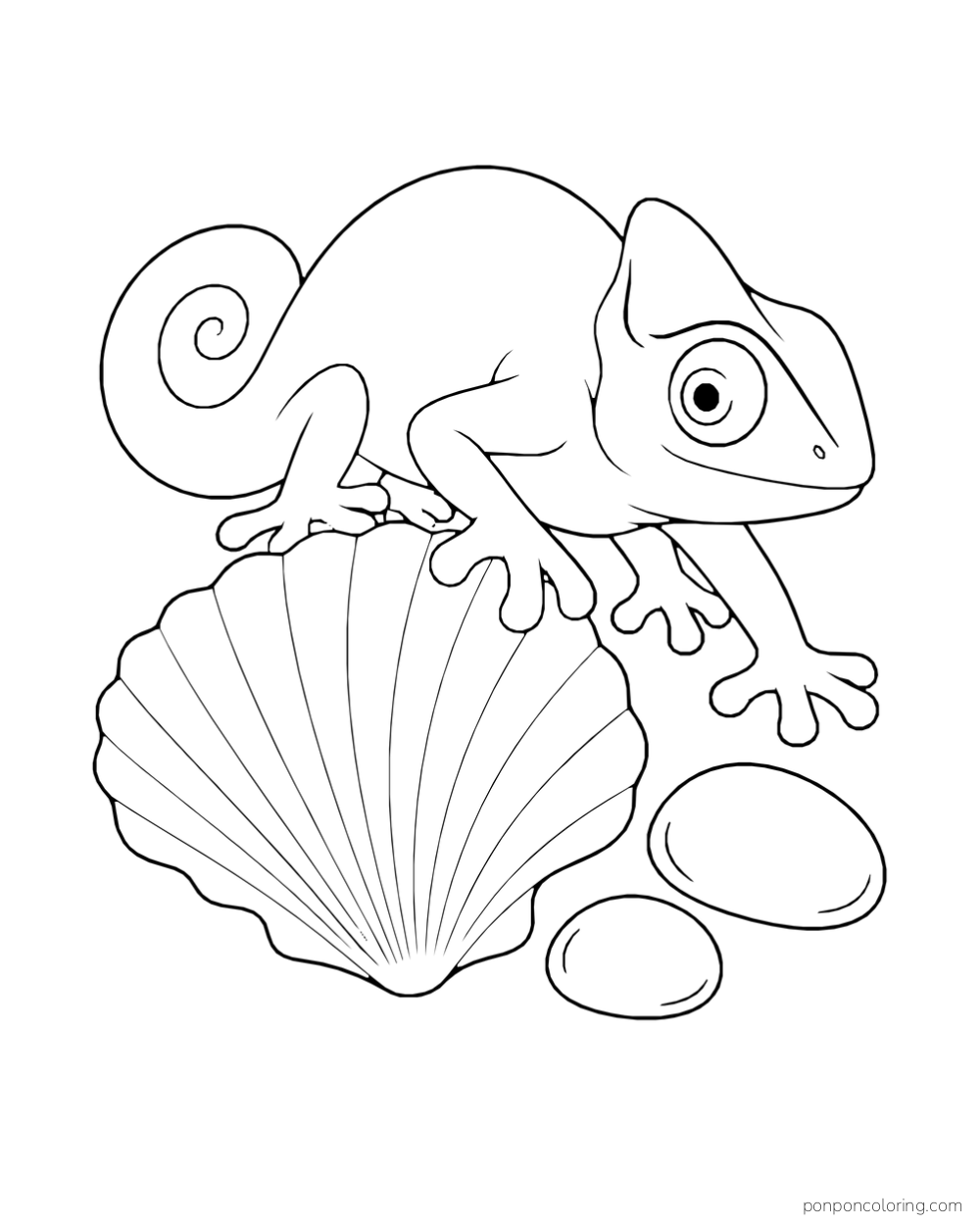A chameleon rests beside a fan-shaped seashell and two smooth pebbles.