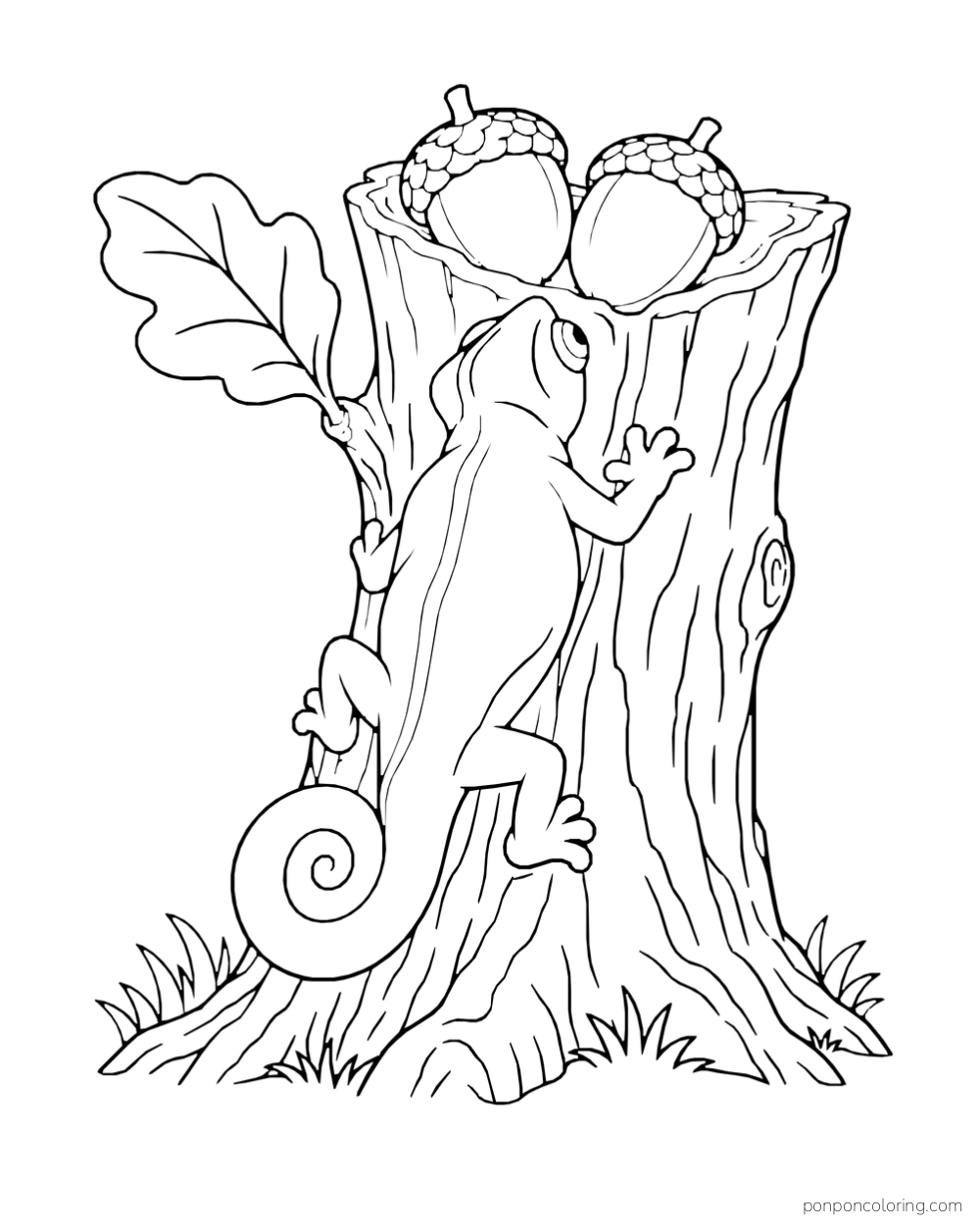 A chameleon climbs a short tree stump toward two acorns resting on top.
