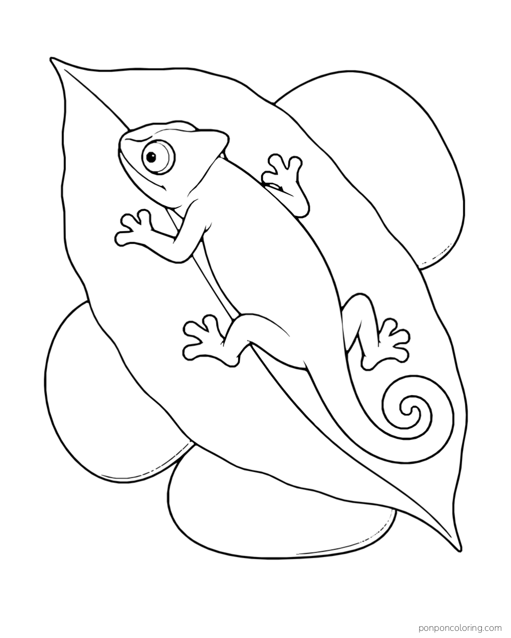 Seen from above, a chameleon walks across a broad leaf above smooth garden stones.