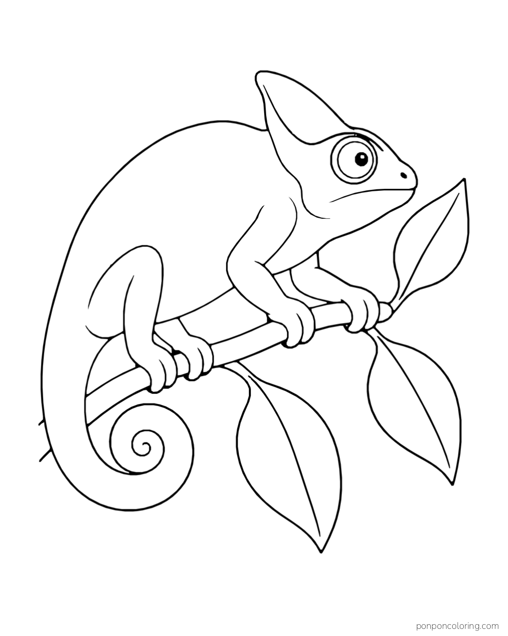 A natural chameleon with a curled tail grips a curved branch beside three broad leaves.