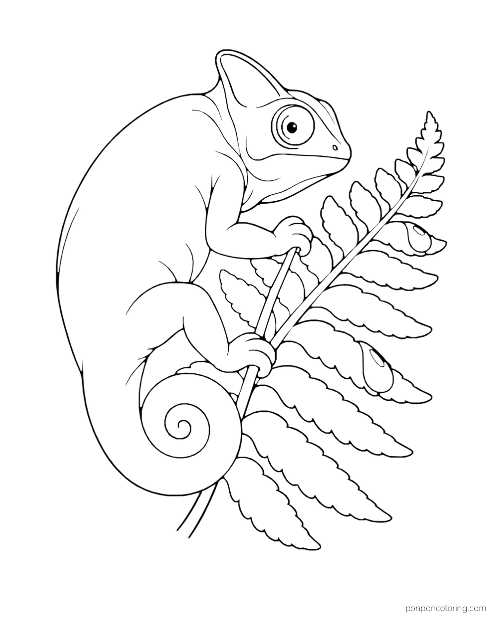 A chameleon with a curled tail grips a fern frond beside two large dew drops.
