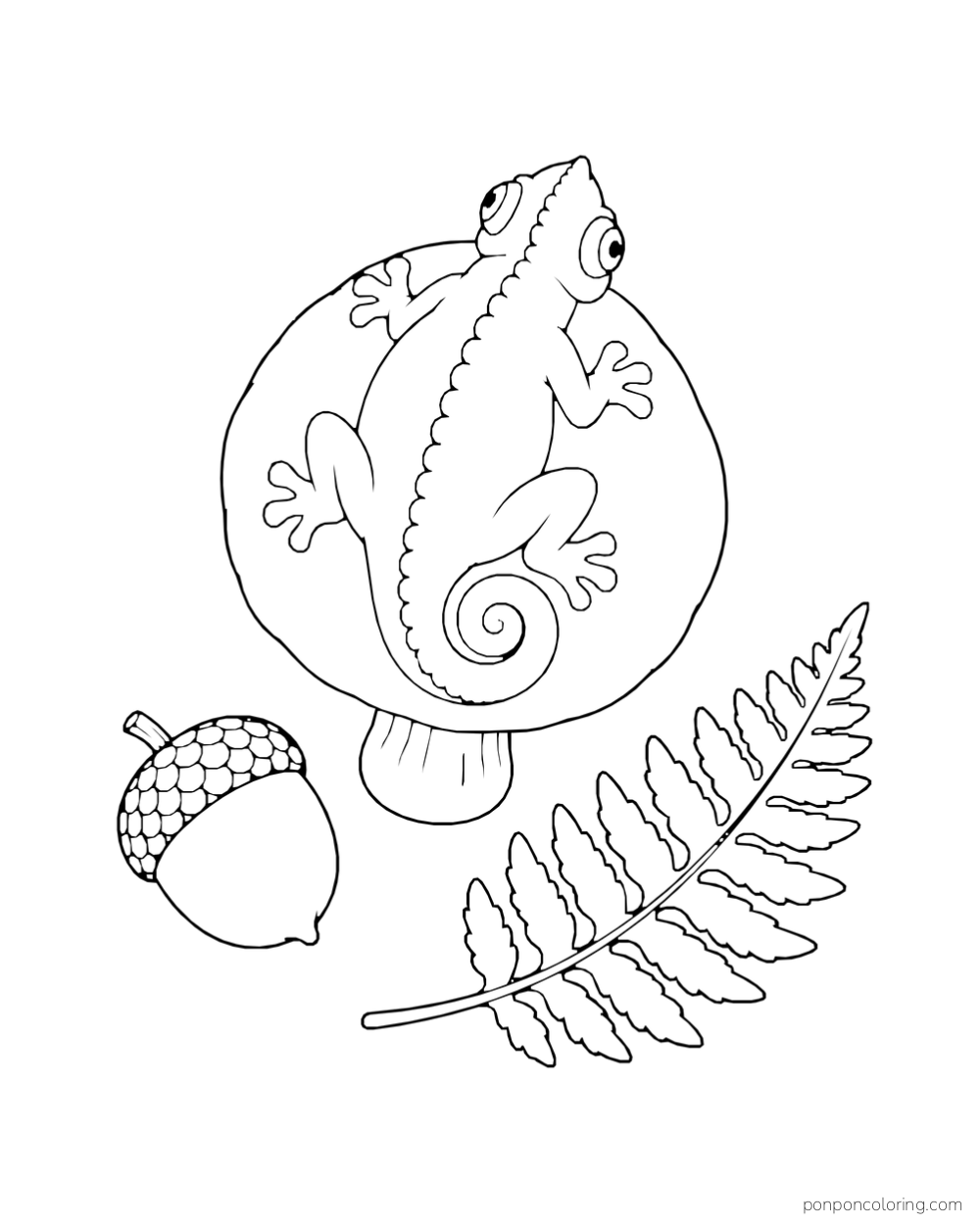 Seen from above, a chameleon rests on a round mushroom cap beside an acorn and fern leaf.