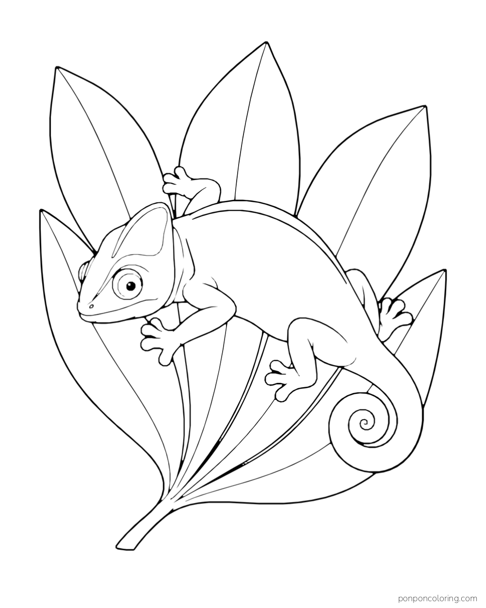 Seen from above, a chameleon lies across a broad palm frond with its tail curled.