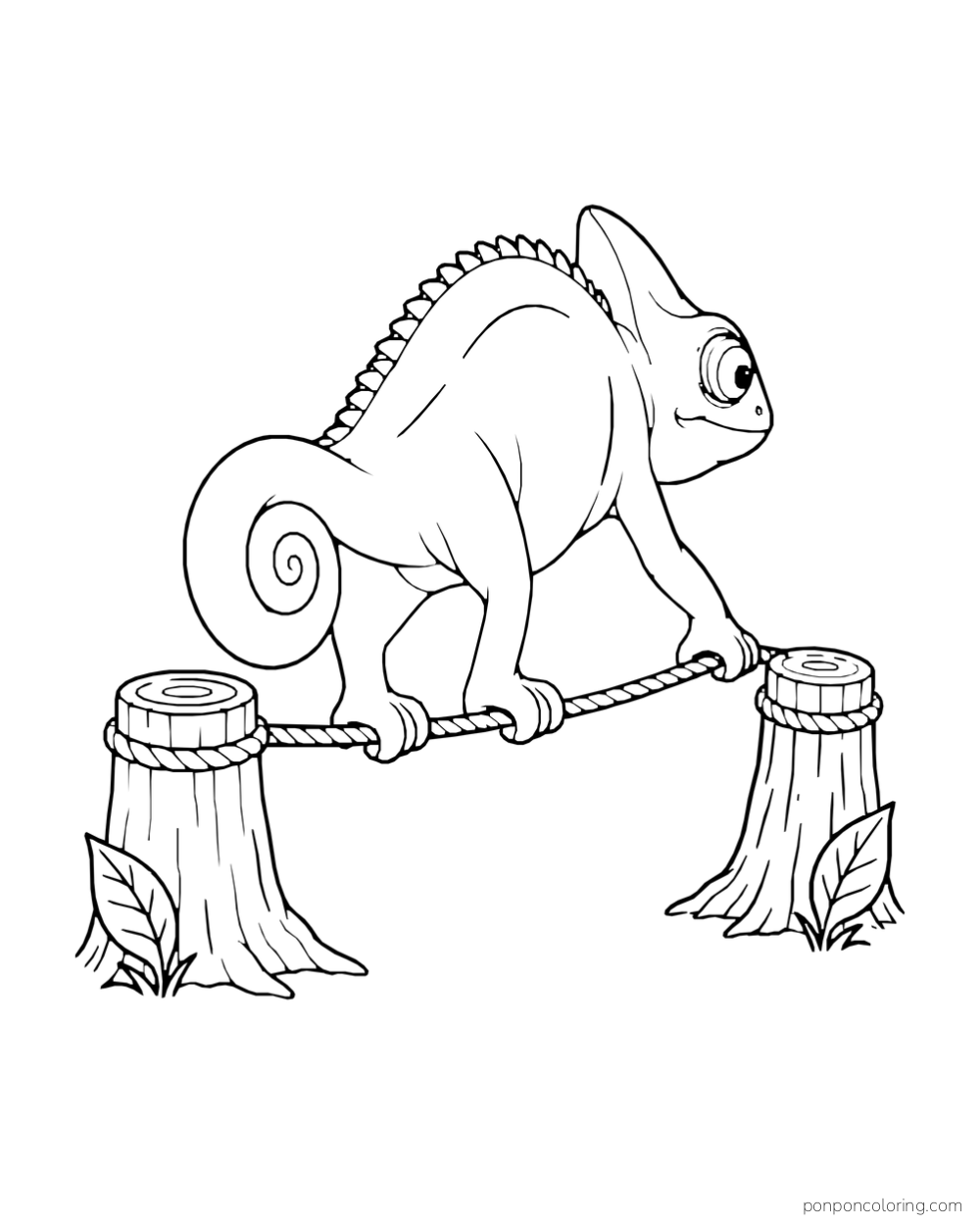 A chameleon balances on a short rope stretched between two low tree stumps.